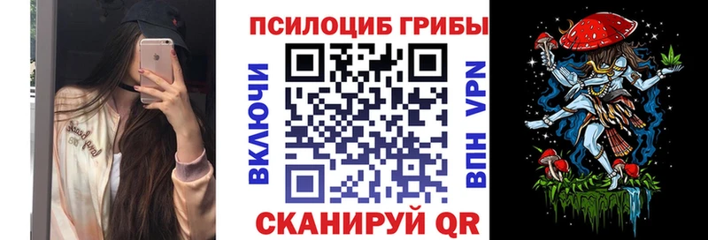 Купить закладки  Жердевка  Псилоцибиновые грибы Magic Shrooms 